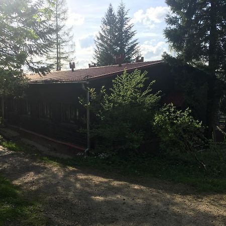 Pod Wielka Krokwia Zakopane Exteriör bild